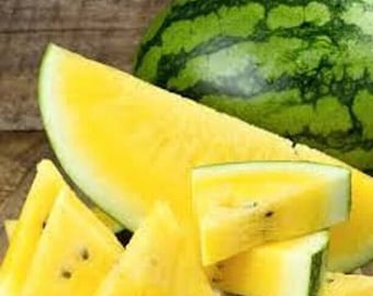25 粒 スイカ 黄色 希少野菜 植え付け 有機 家宝 ガーデン （1584