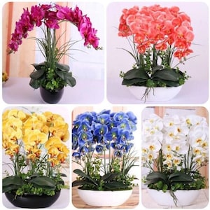 May include: Four artificial orchid plants in pots. The orchids are in different colors: pink, red, yellow, and blue. The pots are white or black.