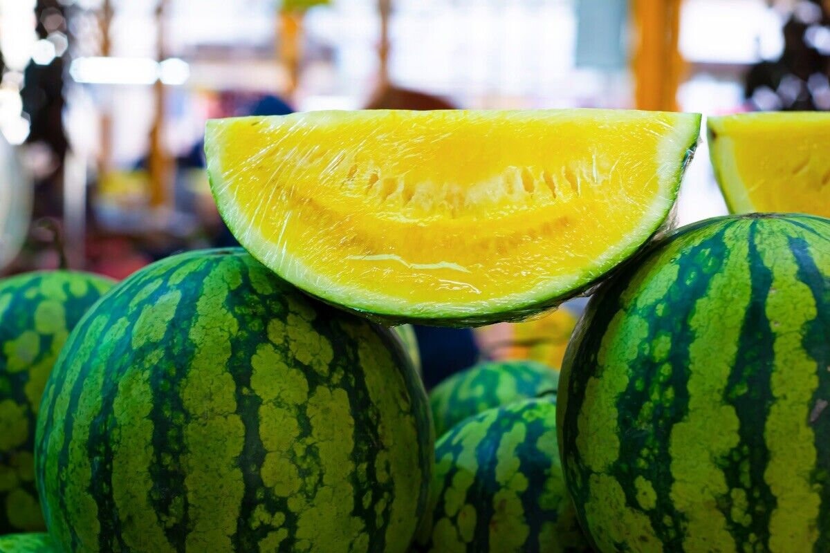 ヤトッチ　ミニ黄色スイカセット 25 粒 スイカ 黄色 希少野菜 植え付け 有機 家宝 ガーデン （1584