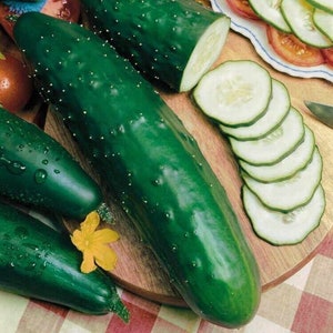 May include: A close-up of three green cucumbers on a wooden cutting board. One cucumber is sliced into thin rounds. The cucumbers are fresh and have a dark green color.