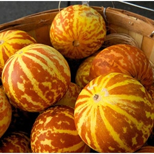 May include: A basket full of yellow and orange striped cantaloupe melons.