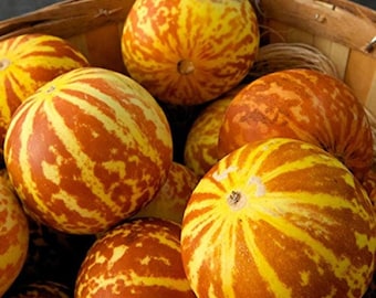 May include: A basket full of yellow and orange striped cantaloupe melons.
