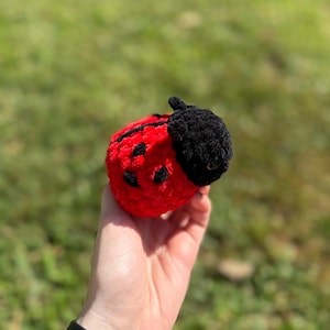 Ladybug crochet plushie | Amigurumi insect bug stuffed animal toy