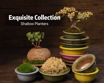 Shallow Bonsai Planter Pots, Mini Succulent Flower Pot, Ceramic Mini Planter with Drainage, Small Planter, Handmade Planter, Tiny Plant Pots