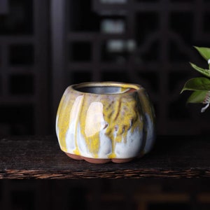 Pumpkin Pottery Planter, Small Planter Handmade, Unique Succulent Cactus Planter Pot, Desktop Mini Planter with Drainage, Bonsai Pot Ceramic