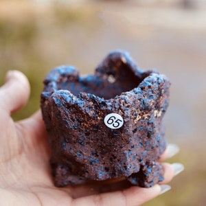 Puede incluir: Un pequeño macetero de cerámica marrón oscuro texturizado con una superficie rugosa e irregular. El macetero tiene una pegatina blanca con el número "65" en ella.