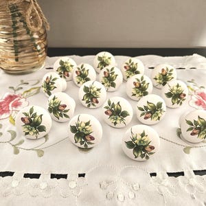 Set of 17 Vintage White Porcelain Ceramic Cabinet Drawer Knobs Pulls Handles Green & Brown Floral Design Home Decor