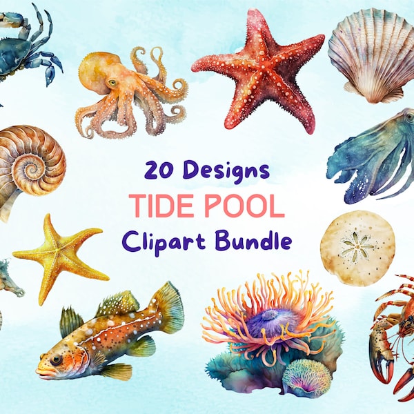 20 Ocean Animal Clipart, Tide Pool Clipart, Watercolor Ocean PNG, Beach Clipart, Ocean Nursery, Sea Creature Clipart