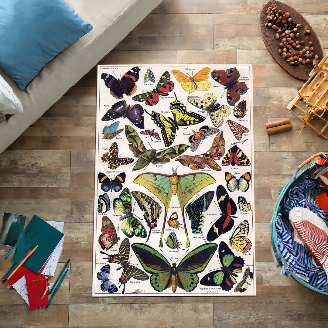 Hug Rug Butterflies Butterfly Rug, Colorful Rug, Butterfly Themed Rug, Cool Rug, Mom Gift ...