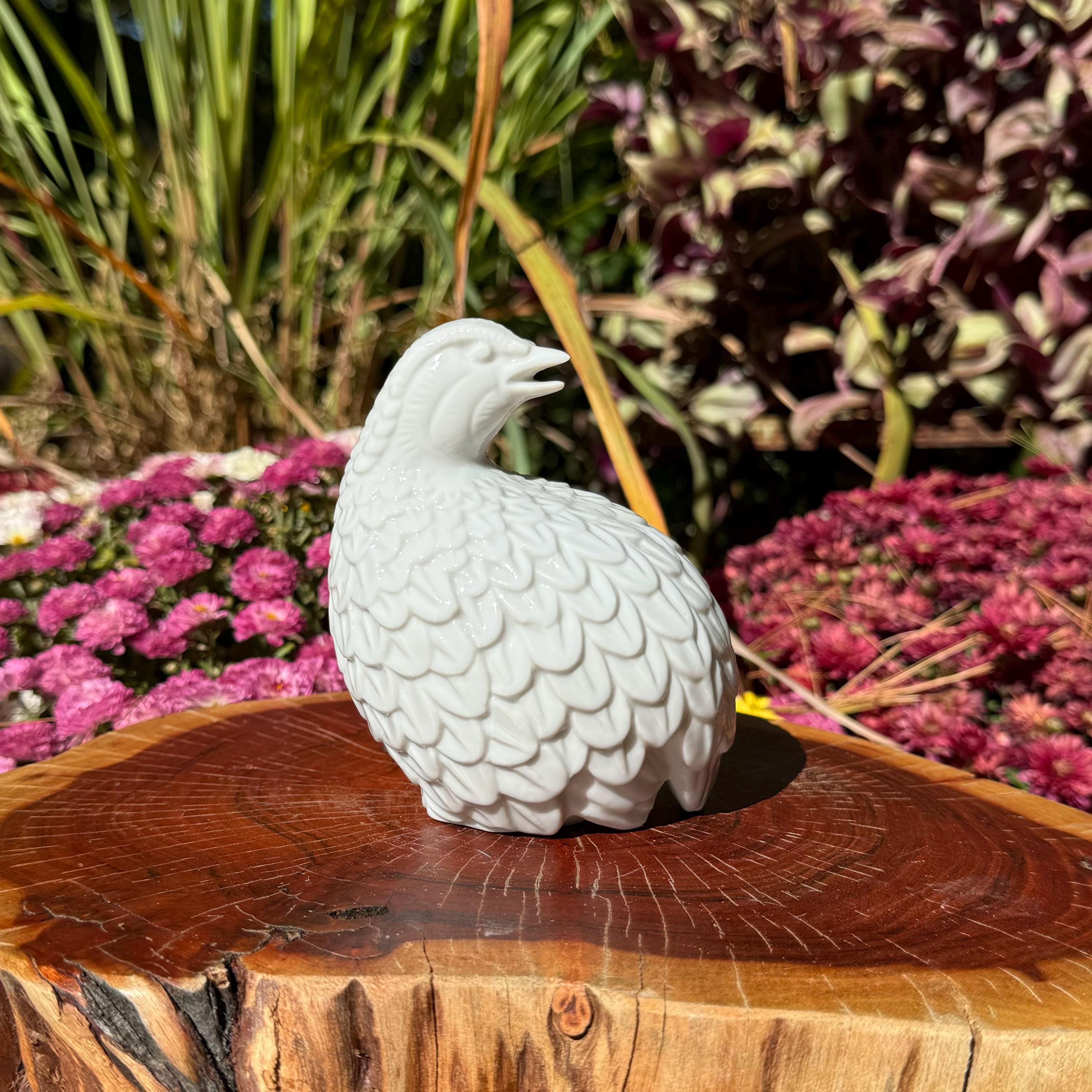 Quail ceramic カモメ Quail - Butter Dish - Fox – November 19 Shop
