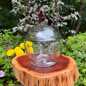 May include: A clear glass apple-shaped jar with a lid. The jar is sitting on a wooden stump.