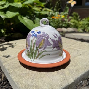 Vintage JUDY GREENE Studio Art Pottery Terracotta Dome Covered Cheese or Butter Dish with Floral Design Made in Ireland 6.25” Wide