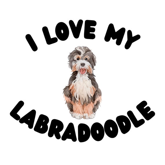 My labradoodle hotsell