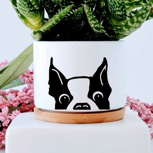May include: White ceramic planter with a black silhouette of a Boston Terrier's face. The planter has a wooden base and is filled with a green succulent plant.