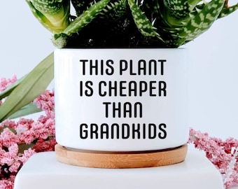 Funny "Plant Cheaper Than Grandkids" Succulent Planter Pot