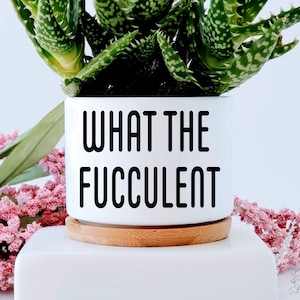 May include: White ceramic planter with a succulent plant and the text "WHAT THE FUCCULENT" in black lettering.