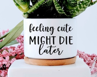 Feeling Cute Might Die Later Succulent Plant Pot, Funny Plant Pot Gift, Minimalist, Cactus Pot, Small Succulent Pot, Mini Planters