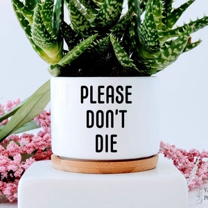 Puede incluir: Maceta de cerámica blanca con base de madera. La maceta tiene texto negro que dice "PLEASE DON'T DIE". Una planta suculenta verde está en la maceta.