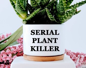 Pray for Me Plant Pot Cover, Plant Gift, Plant Pot Holder, House Plant,  Plant Killer - Etsy