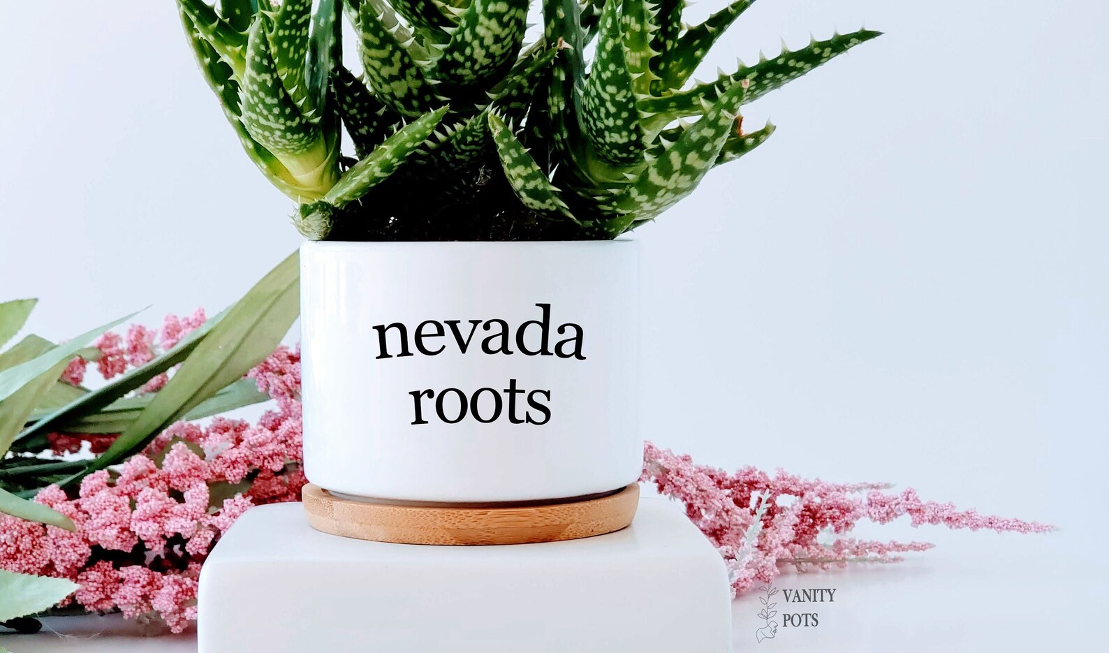 Nevada Roots Succulent Planter Pot, Vegas Strong, Reno, Nevada Gift - Etsy