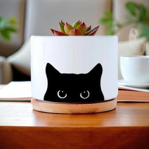 Black Cat Ceramic Succulent Planter Pot with Bamboo Saucer
