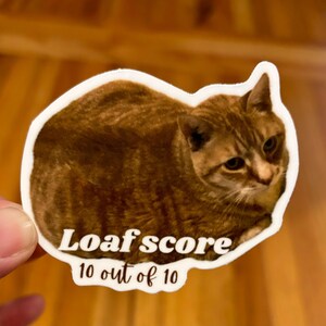 May include: A sticker featuring a brown tabby cat in a loaf position. The sticker has a white border and text that reads "Loaf score 10 out of 10". The cat's fur has brown and tan stripes.