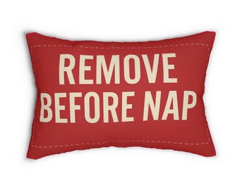 Remove Before Nap Throw Pillow – Aviation Humor Decor