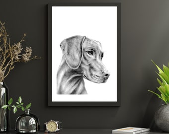 Vizsla Hund Druck - Vizsla Hund Zeichnung - Vizsla Hund Wand Kunst zum Ausdrucken - Schwarzweiße Hunde Wandkunst - Digitaler Download