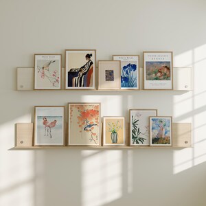May include: A collection of framed art prints displayed on two wooden shelves. The prints feature a variety of subjects, including birds, flowers, and people. The shelves are against a white wall.