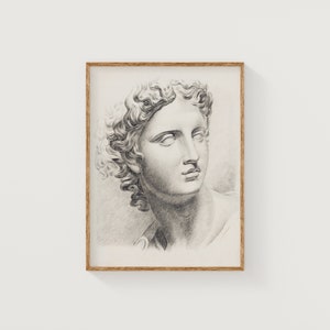 May include: A black and white pencil drawing of a classical sculpture of a person's head and shoulders. The person has curly hair and is looking to the right.