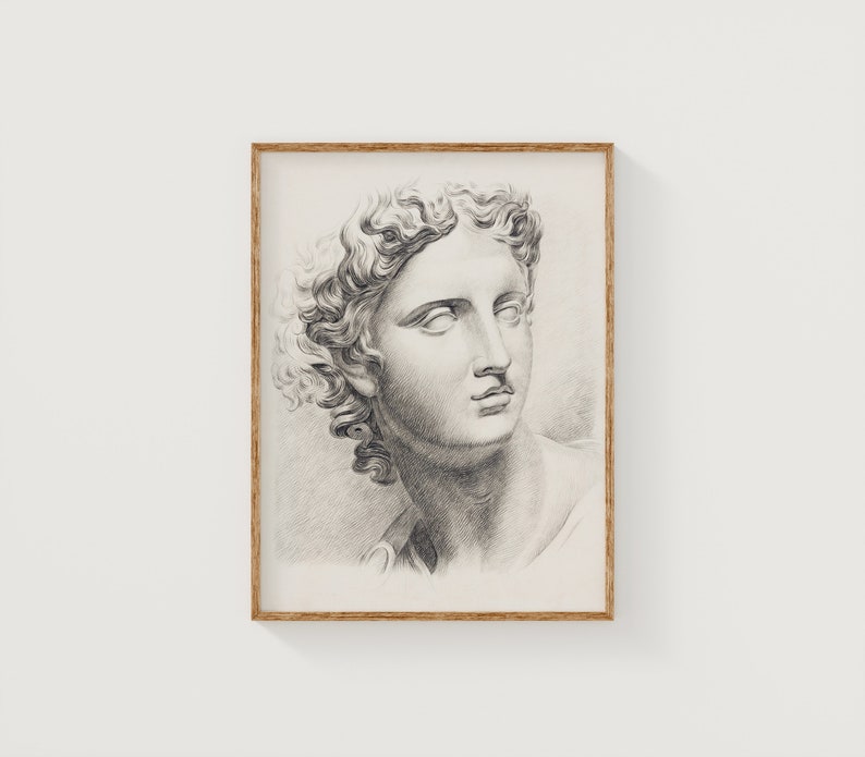 May include: A black and white pencil drawing of a classical sculpture of a person's head and shoulders. The person has curly hair and is looking to the right.