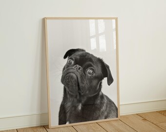 Minimalist Wood Frame Mockups with Reflection,DIN A Ratio