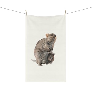 Quokka and Joey in your Kitchen