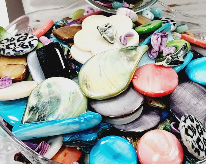 Bulk Shell Beads for Crafts and Jewelry Making