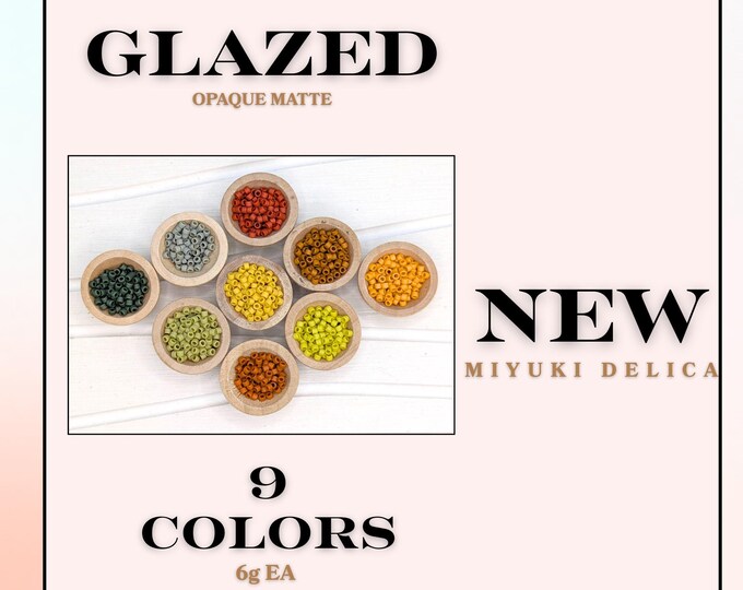 Miyuki Delica Seed Bead Set - 9 New Matte Glazed Delica Colors for Jewelry Making, Beadwork, Craft Projects (6 Grams Each)