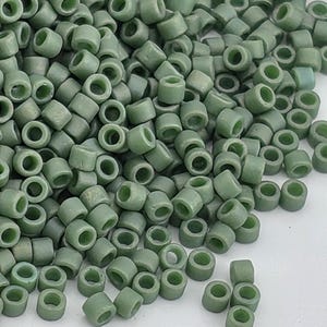 DB2312:Parakeet Green Opaque Matte Glazed Rainbow | Size 11/0 | 7g