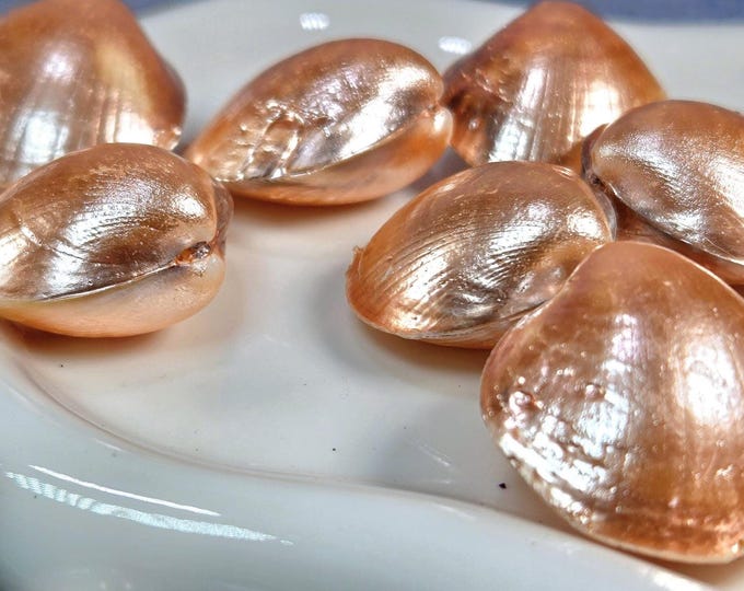 28mm Copper Painted Clam Shell Focal Beads for Crafts and Decor - Set of 7