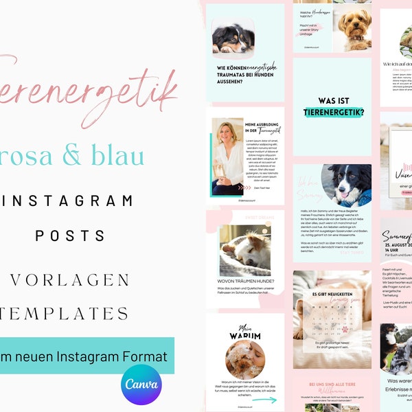 Instagram Feed Design Dierlijke Energetica | 50 Energie Instagram-sjablonen | Energiegenezing | Coaches Instagram-feed | Voersjabloon honden/dieren