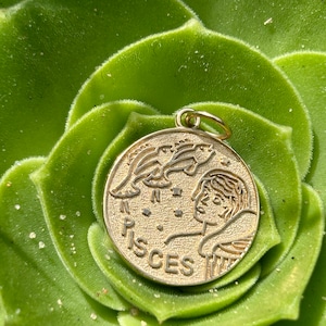 14K Pisces Charm