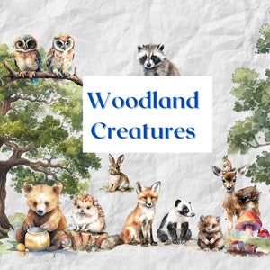 40 PNG Woodland Animals Clipart Watercolor, Clipart for commercial use, Transparent png, Nursery Clipart, Fox, Bear, Deer, Hedgehog, Owl