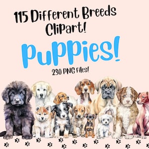 230 PNG acuarela cachorros clipart, paquete PNG transparente perro, imágenes prediseñadas de perro, megapaquete de perro acuarela, paquete de perro acuarela PNG