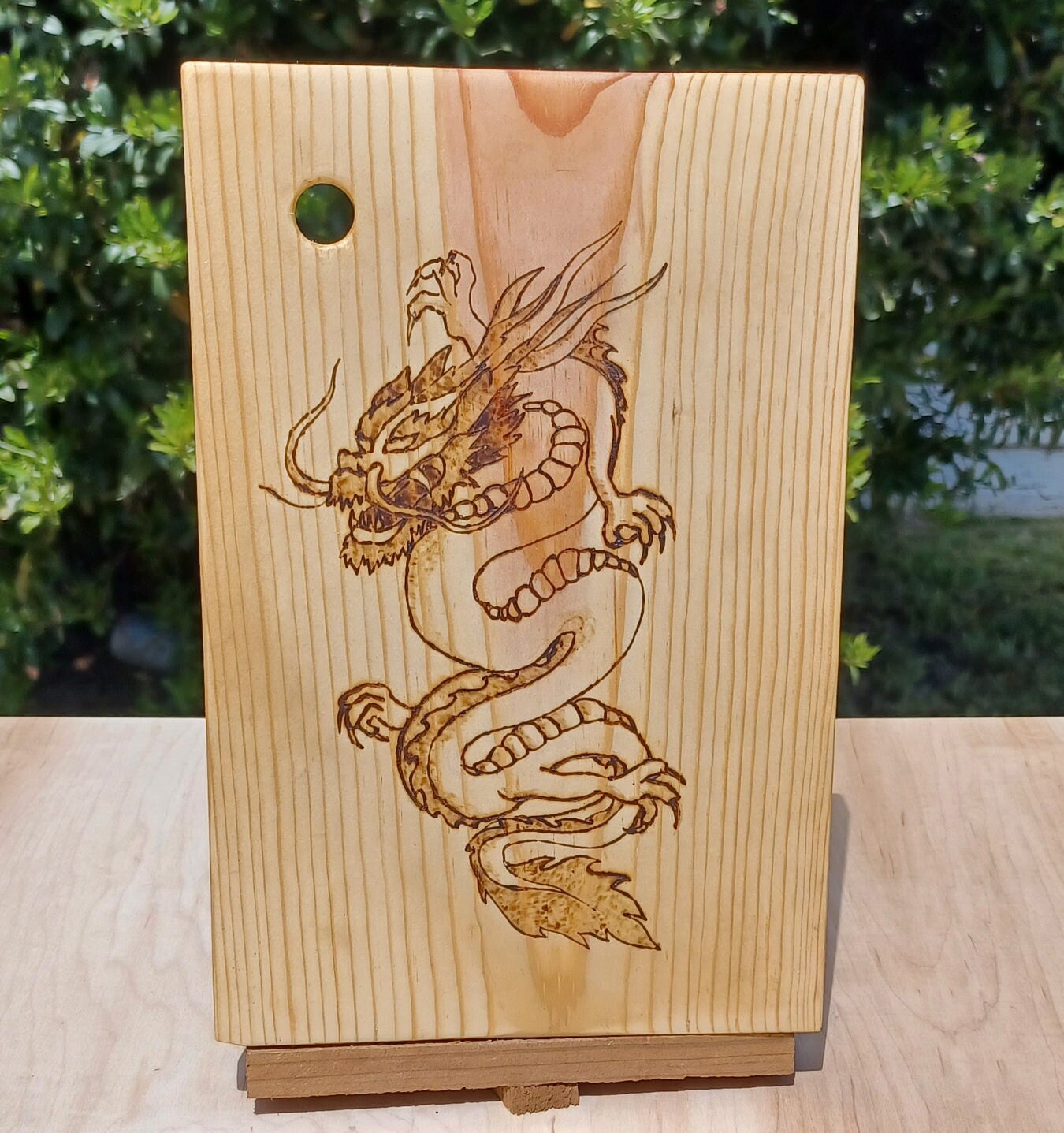 Our Dragon Segus.  Wood burning, Wood pieces, Wood