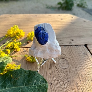 Azurite Suns em Matriz de Caulinita da Austrália