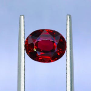 May include: A faceted, oval-shaped, deep red gemstone held by silver tweezers. The gem has multiple facets that reflect light, creating a brilliant sparkle. The background is a light blue.