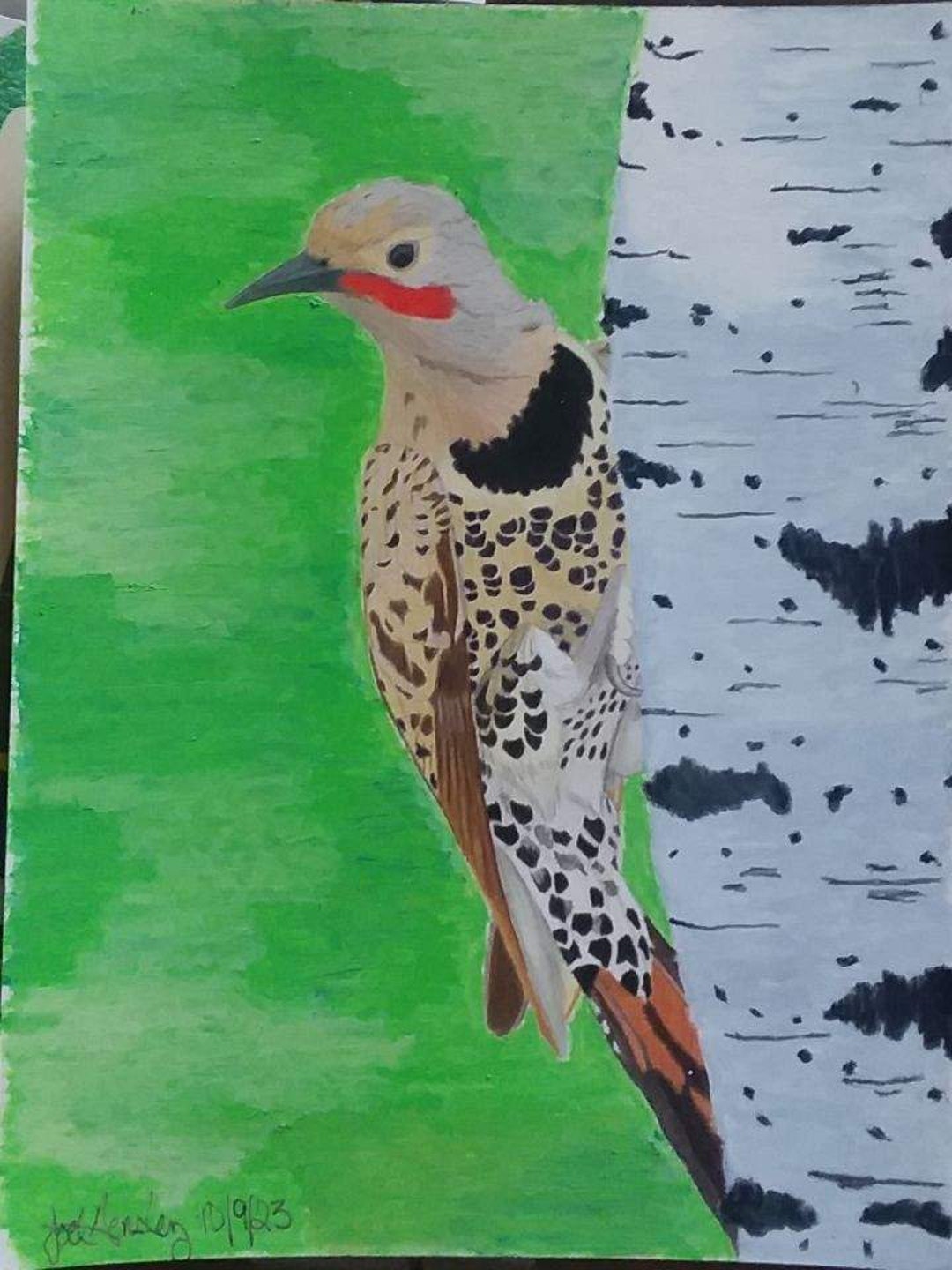 9 X 12 Inch Colored Pencil Drawing Flicker on Birch - Etsy Canada