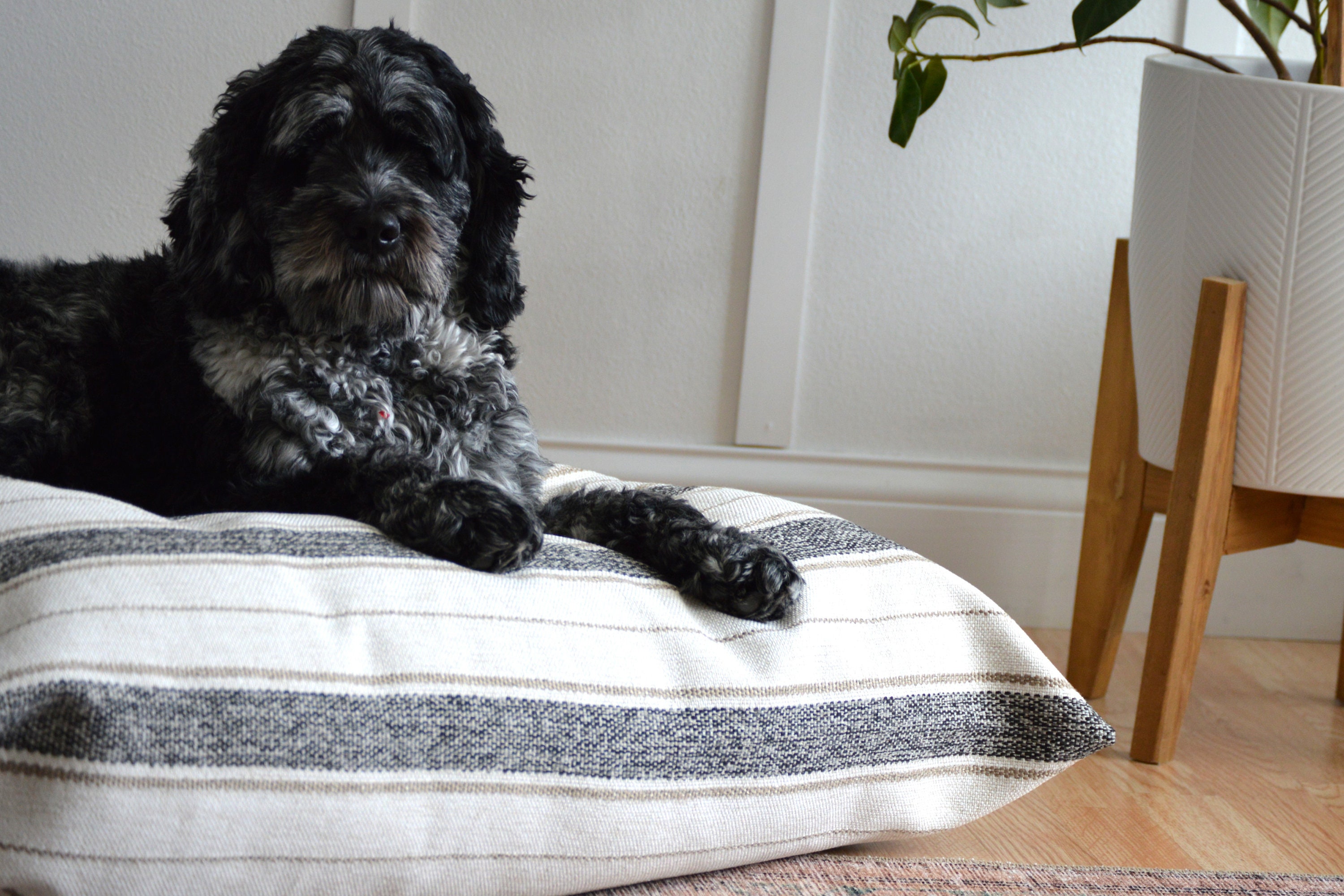 Dog Bed Replacement Cover: Revolution Fabric, Zipper Closure, Stripe