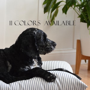 May include: A black and white dog laying on a white and blue striped dog bed. The text "11 COLORS AVAILABLE" is displayed above the dog.