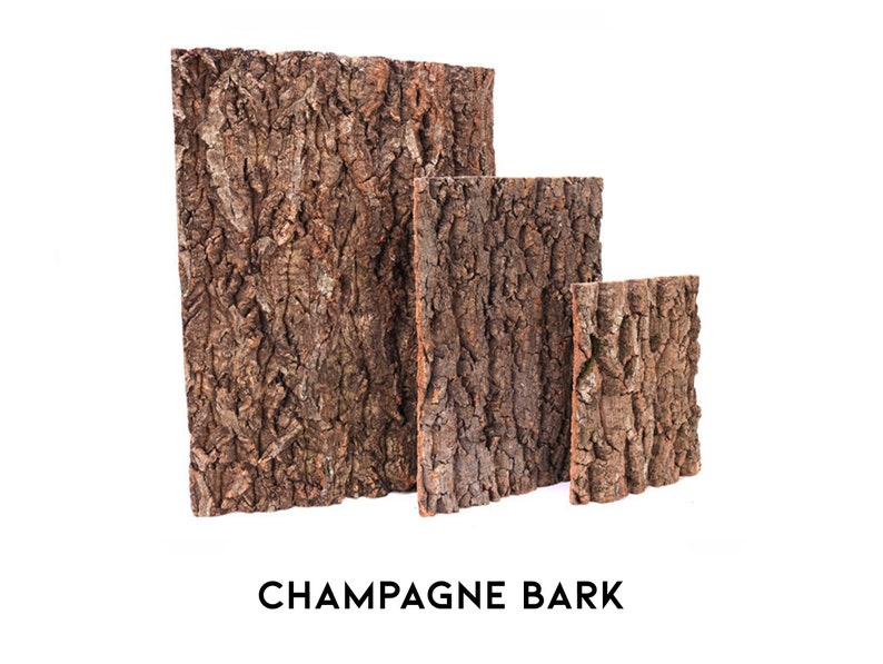 Natural Tree Bark Driftwood for Fish Tank Aquarium Decor Etsy