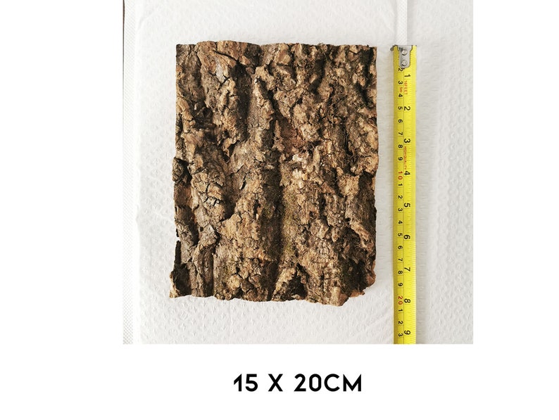 Natural Tree Bark Driftwood for Fish Tank Aquarium Decor Etsy