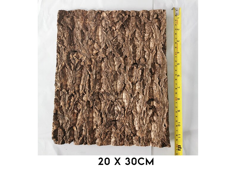 Natural Tree Bark Driftwood for Fish Tank Aquarium Decor, Unique